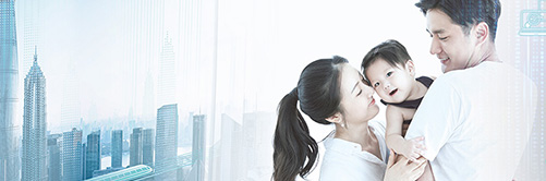 siemens_header